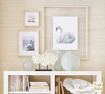 Swan Art Print