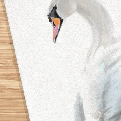 Swan Art Print