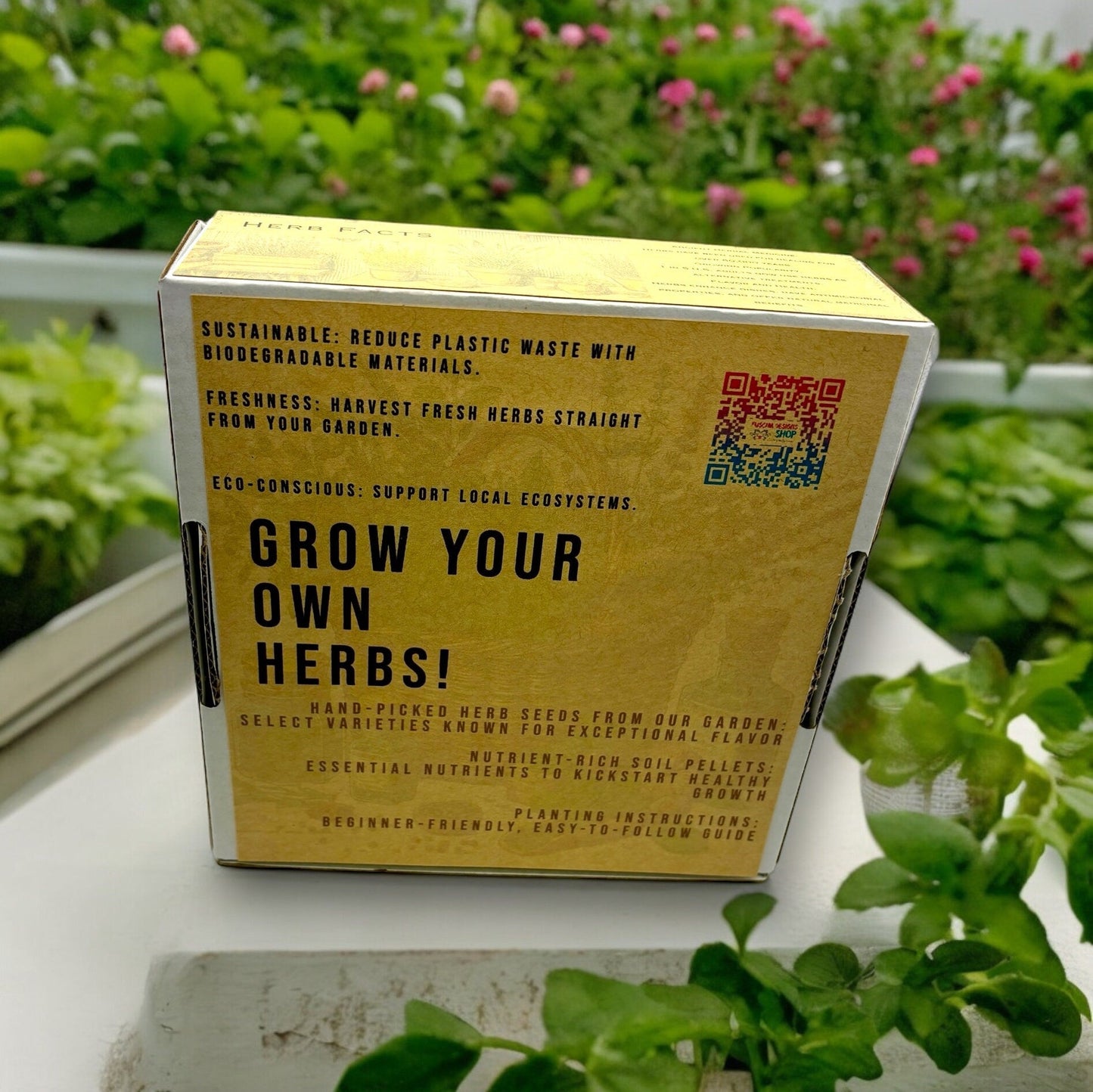Kit - Indoor Herb Garden Starter Kit with Parsley, Chives, and Dill Seeds
