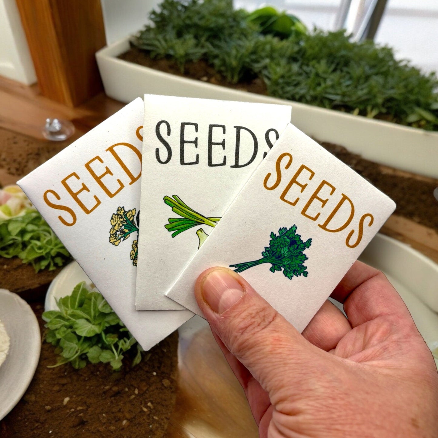 Kit - Indoor Herb Garden Starter Kit with Parsley, Chives, and Dill Seeds