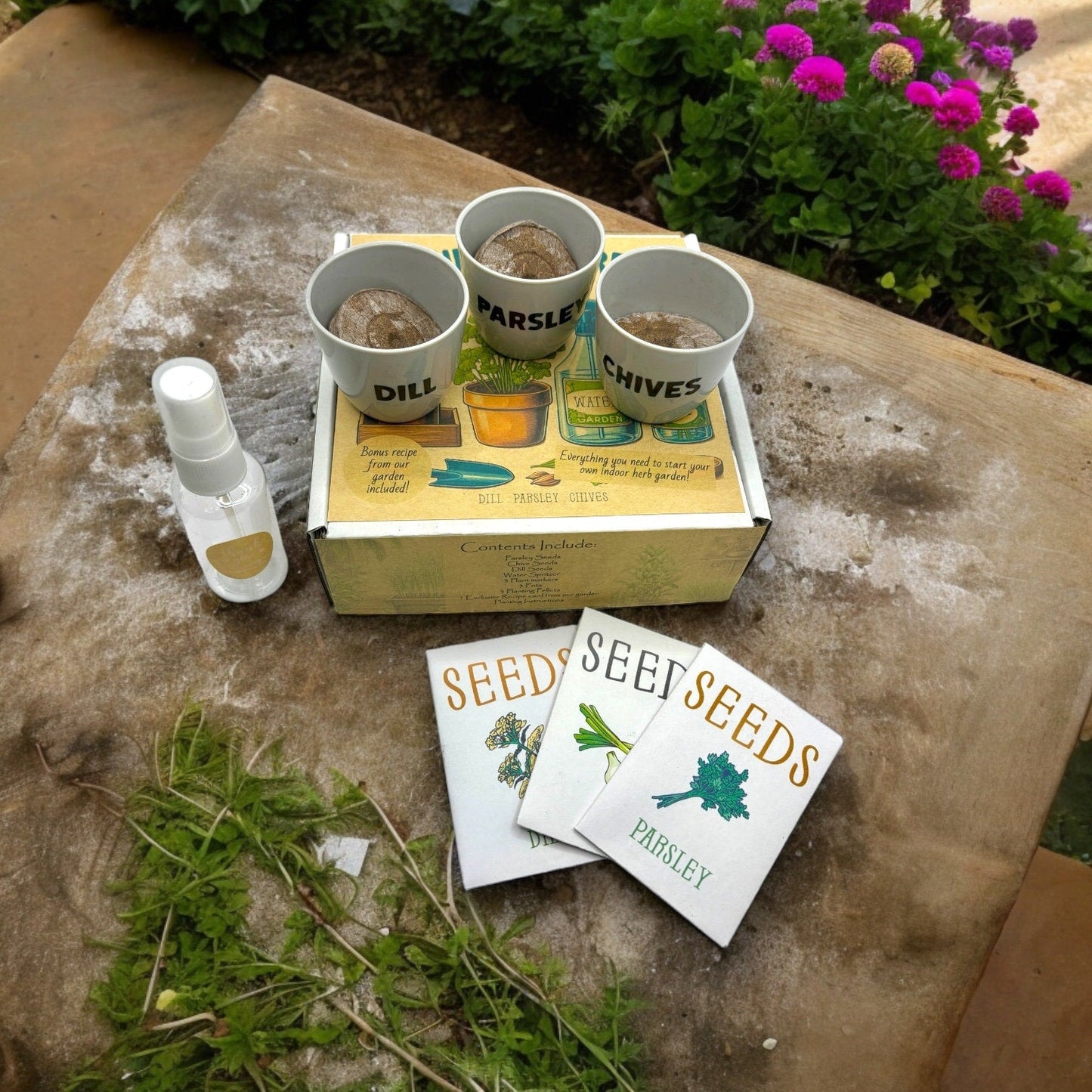 Kit - Indoor Herb Garden Starter Kit with Parsley, Chives, and Dill Seeds