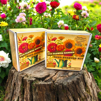 Kit - Flower Garden Starter Kit with Zinnia, Cosmo, and Sunflower seeds
