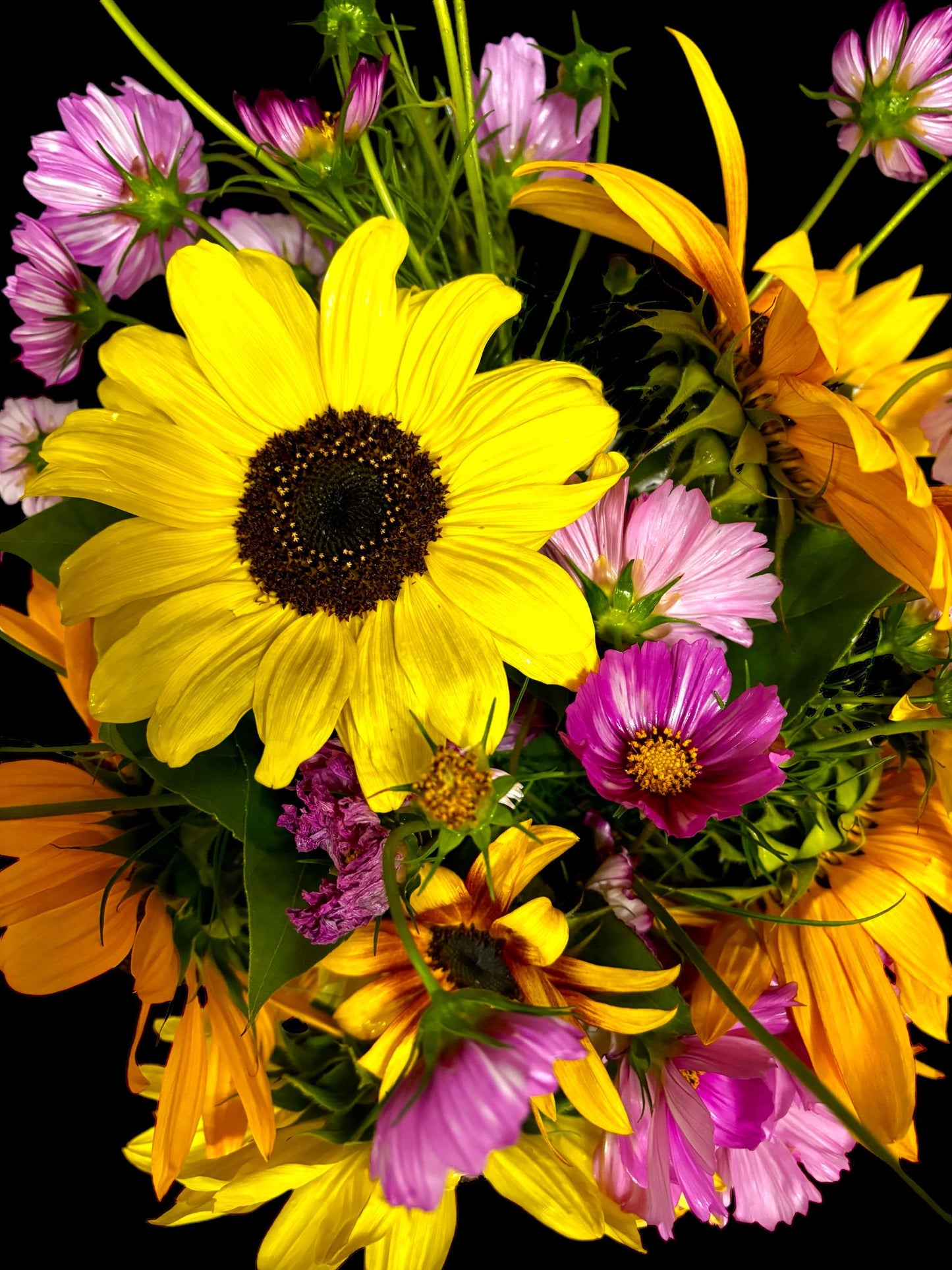 Kit - Flower Garden Starter Kit with Zinnia, Cosmo, and Sunflower seeds
