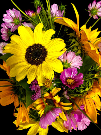 Kit - Flower Garden Starter Kit with Zinnia, Cosmo, and Sunflower seeds