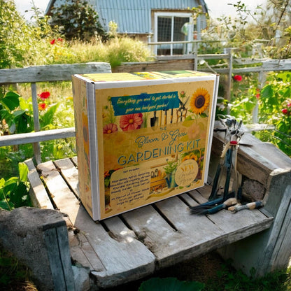 Kit - Bloom & Grow Garden Starter Kit with Garden Apron, Cosmo seeds, Gloves and Gardening Tools