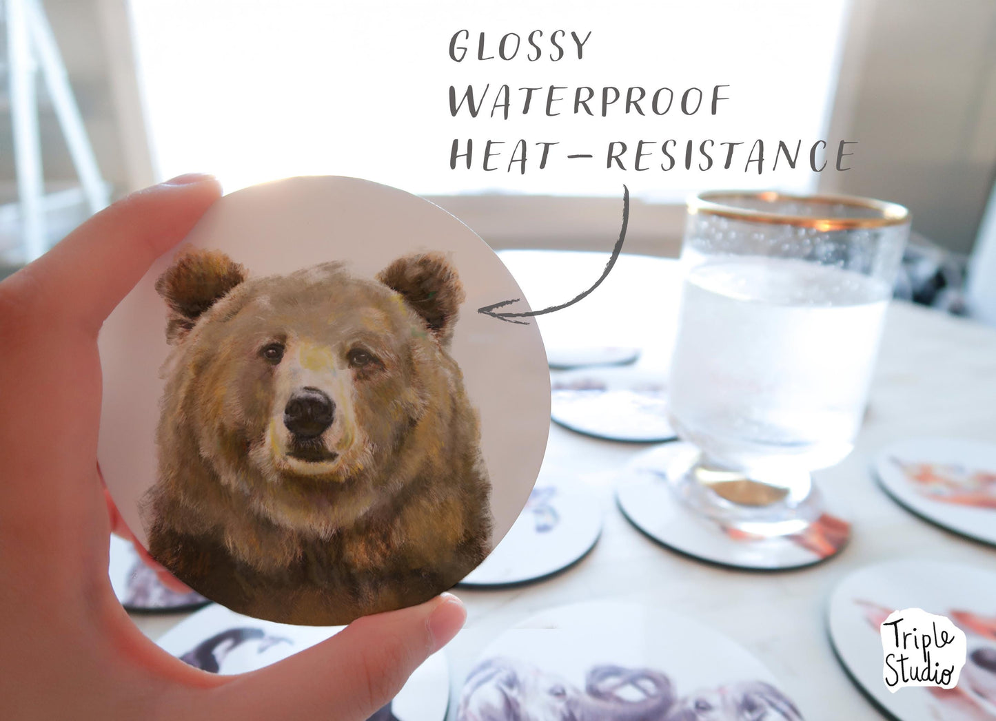 Grizzly Bear Coaster