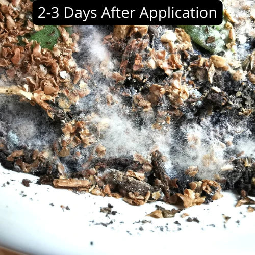 Bios Natural Plant Fertilizer