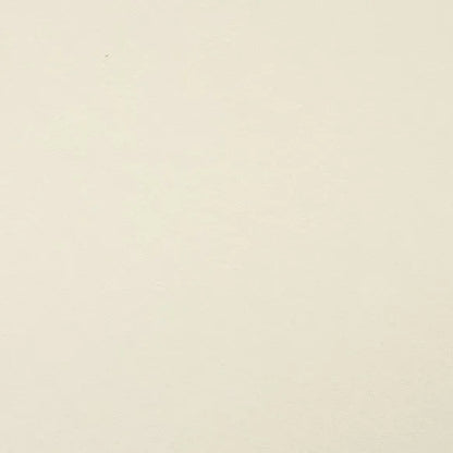 Clairefontaine - Maya Cardstock 120lb Paper - 20x28"