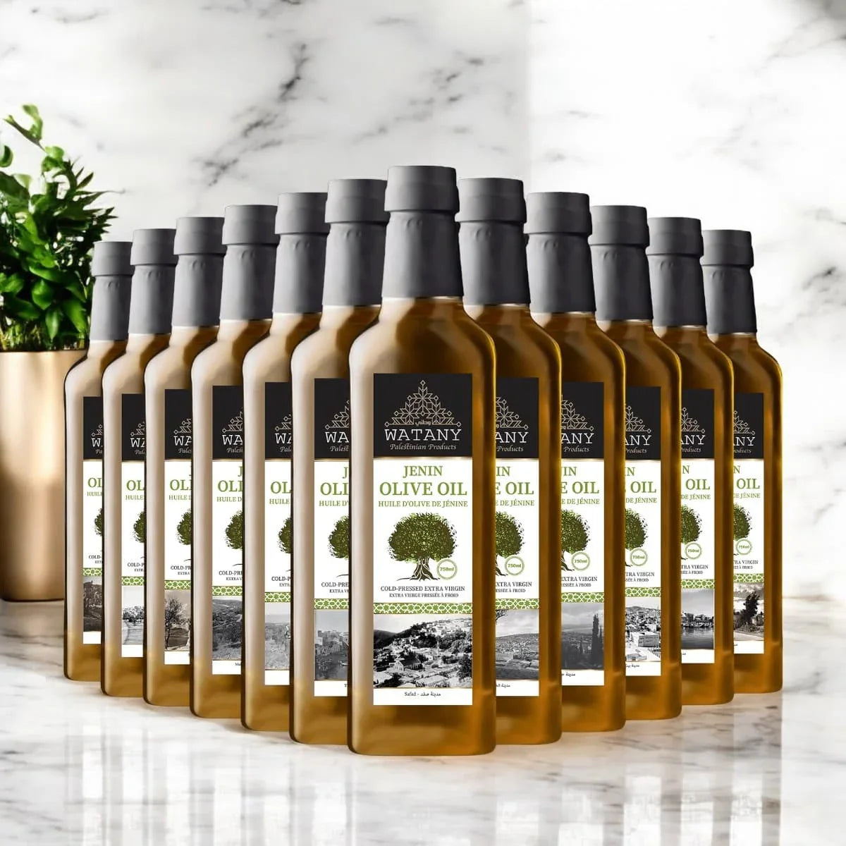 Jenin Palestinian Olive Oil