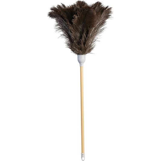 Plumeau supérieur, plume d'autruche