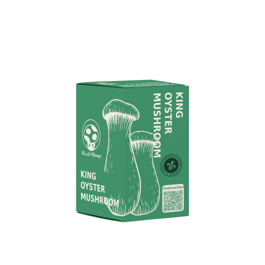 Kit de pleurotes du panicaut