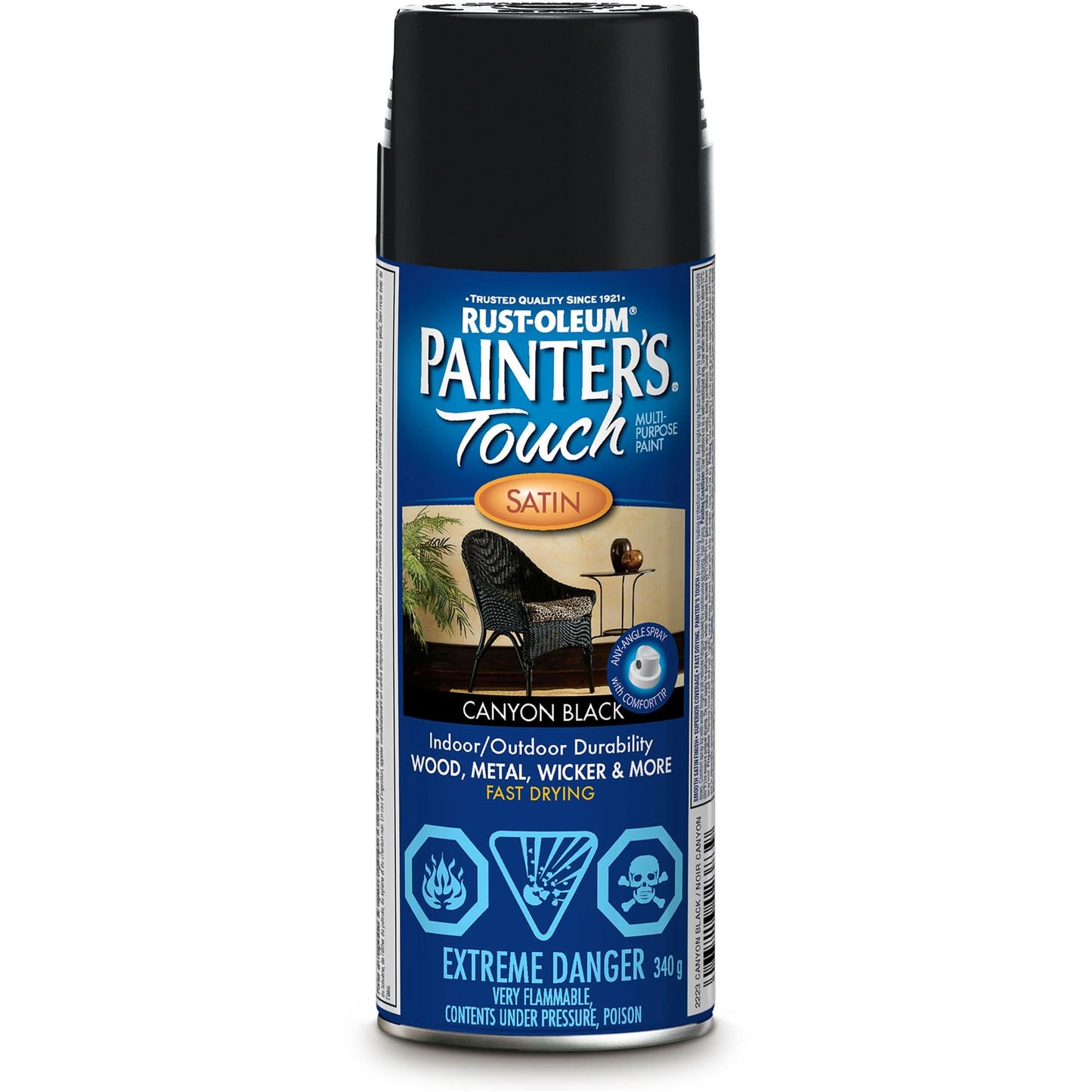 Painter's Touch® Multi-Purpose Brush-On Paint, Canyon Black, Satin, Aerosol Can