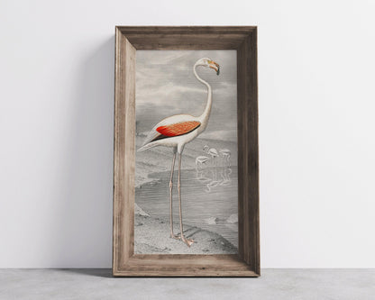 Vintage Flamingo Art Print by Edouard Travies (Handframed or Unframed) (2x1)
