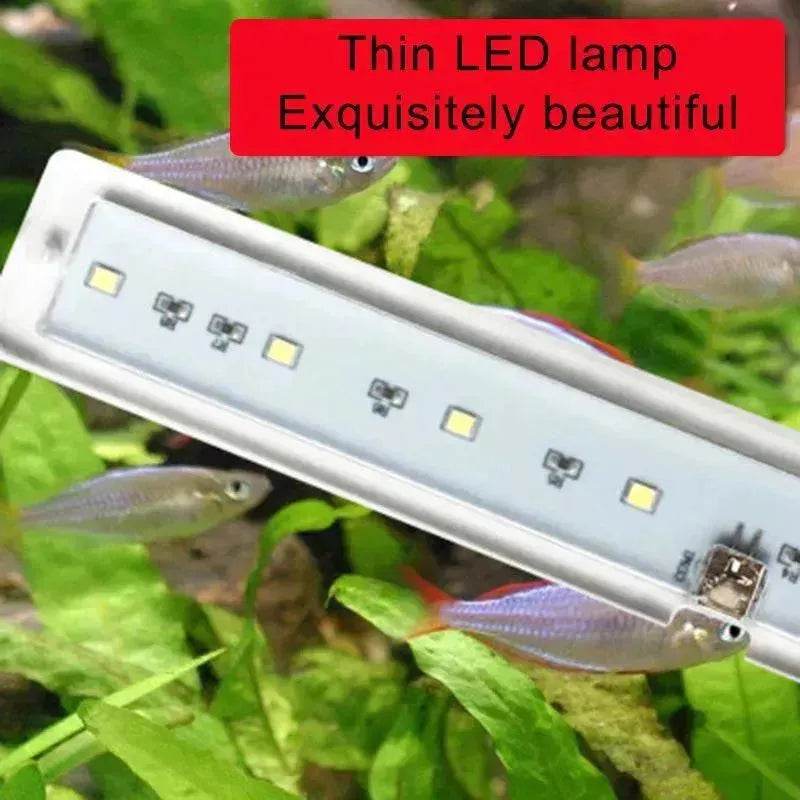 Éclairage de réservoir de poissons à LED