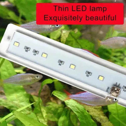 Éclairage de réservoir de poissons à LED