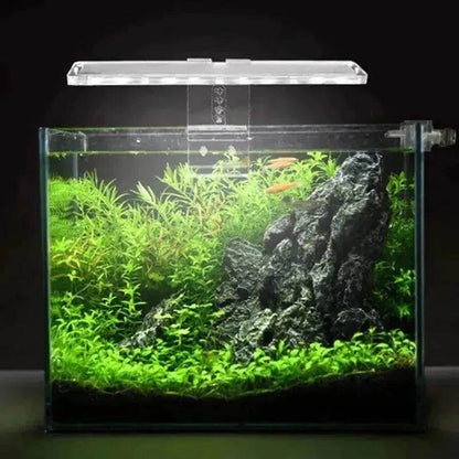 Éclairage de réservoir de poissons à LED