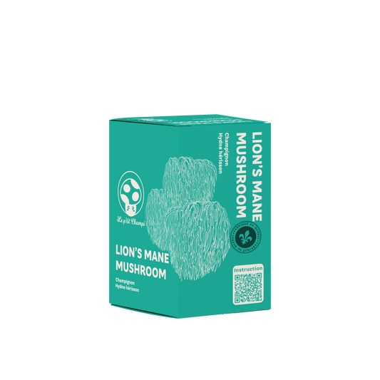 Kit de culture de champignons Crinière de lion