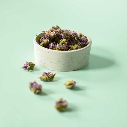 Monarde fistuleuse, fleur