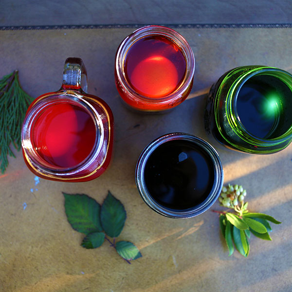 Natural Egg Dye Kit