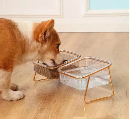 Neck-protecting sloped pet feed bowl Stand