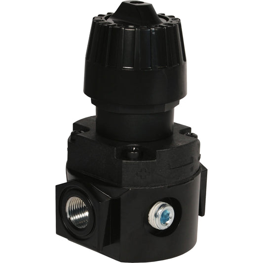 Wilkerson Compact Regulator R16, 1/4" NPT, 300 psi Max. PSI, Standard