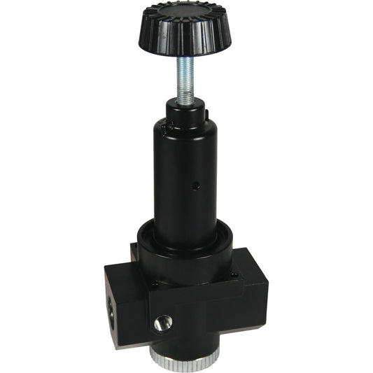 Wilkerson High Flow Regulator R30, 1" NPT, 300 psi Max. PSI, Standard