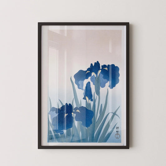 Estampe Giclée Iris de Koson Ohara : Art Botanique Japonais Ancien