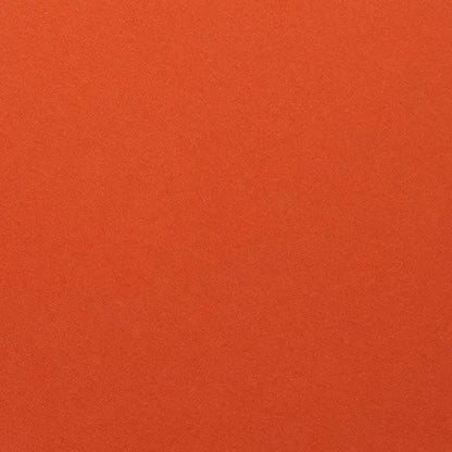 Clairefontaine - Maya Cardstock 120lb Paper - 20x28"