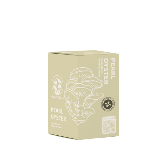 Kit de culture de pleurotes en huître