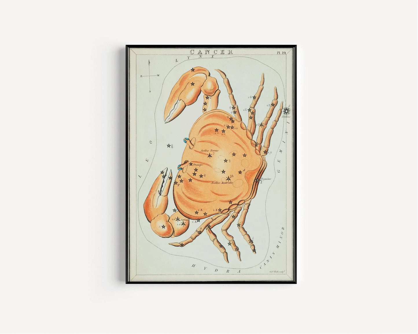 Impression Personnalisable Signe Astrologique Vintage - Cancer | Sidney Hall Art (disponible encadrée à la main ou non encadrée)