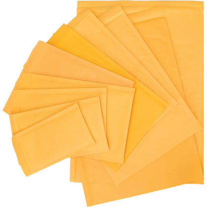 Bubble Shipping Mailer