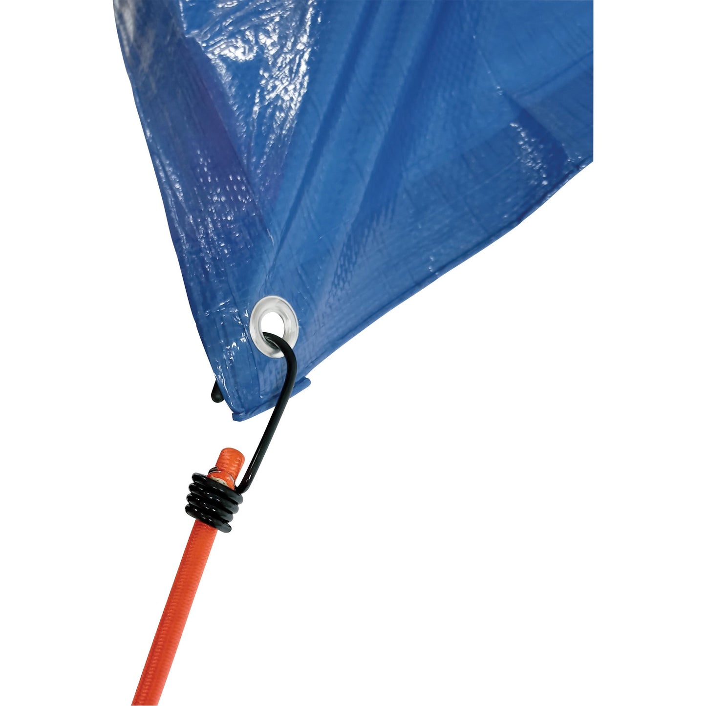 Bungee Cord Tie Downs, 48"