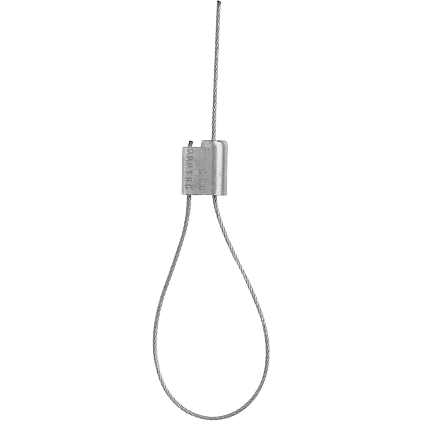 Cable Lock Seals