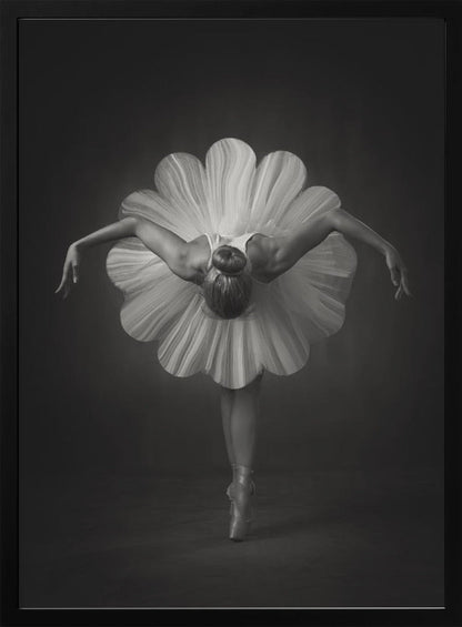 Wall Art Floral Ballet