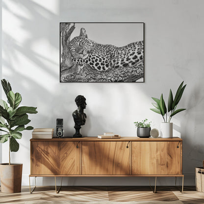 Time to rest Leopard