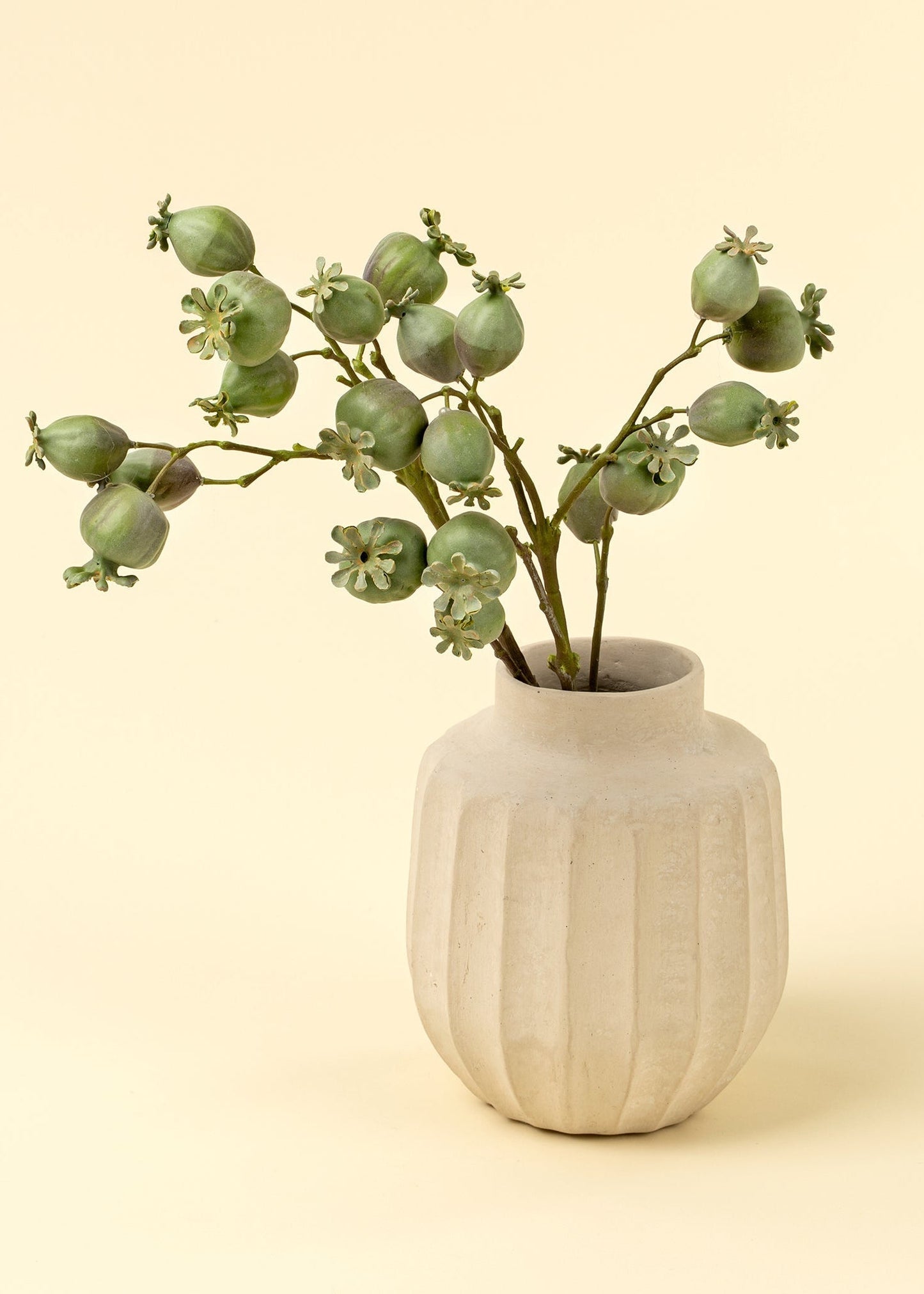 Poppy Pod Branch
