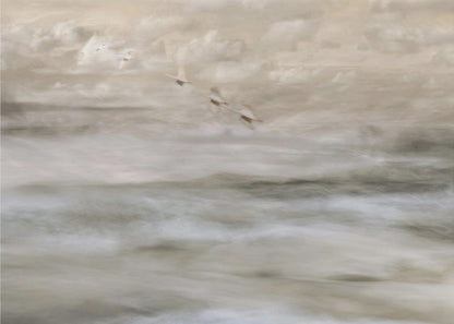 Wall art Swans over sea