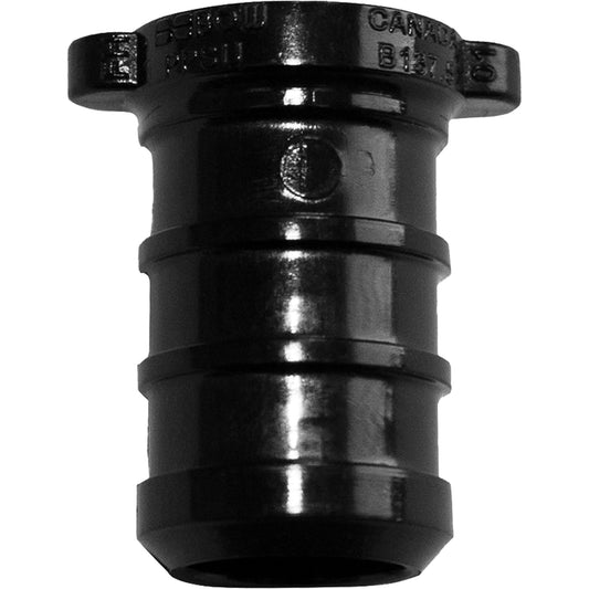 Bouchon de tuyau, tuyau, 1 po de diamètre, polyalliage