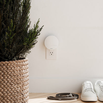 Push Plug-In Wall Diffuser (Winter '25 Add-On)