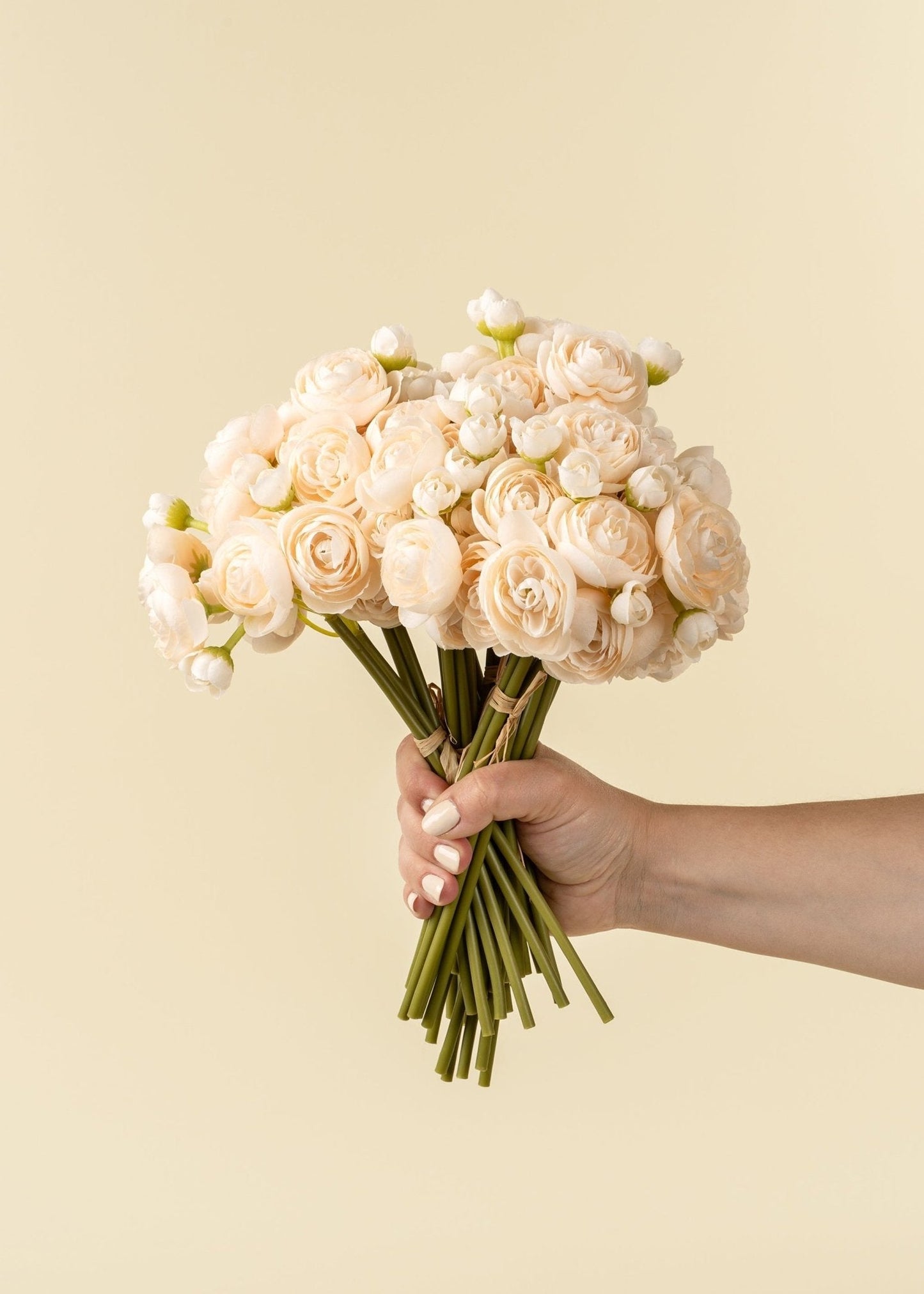 Ranunculus Bouquet – Cream