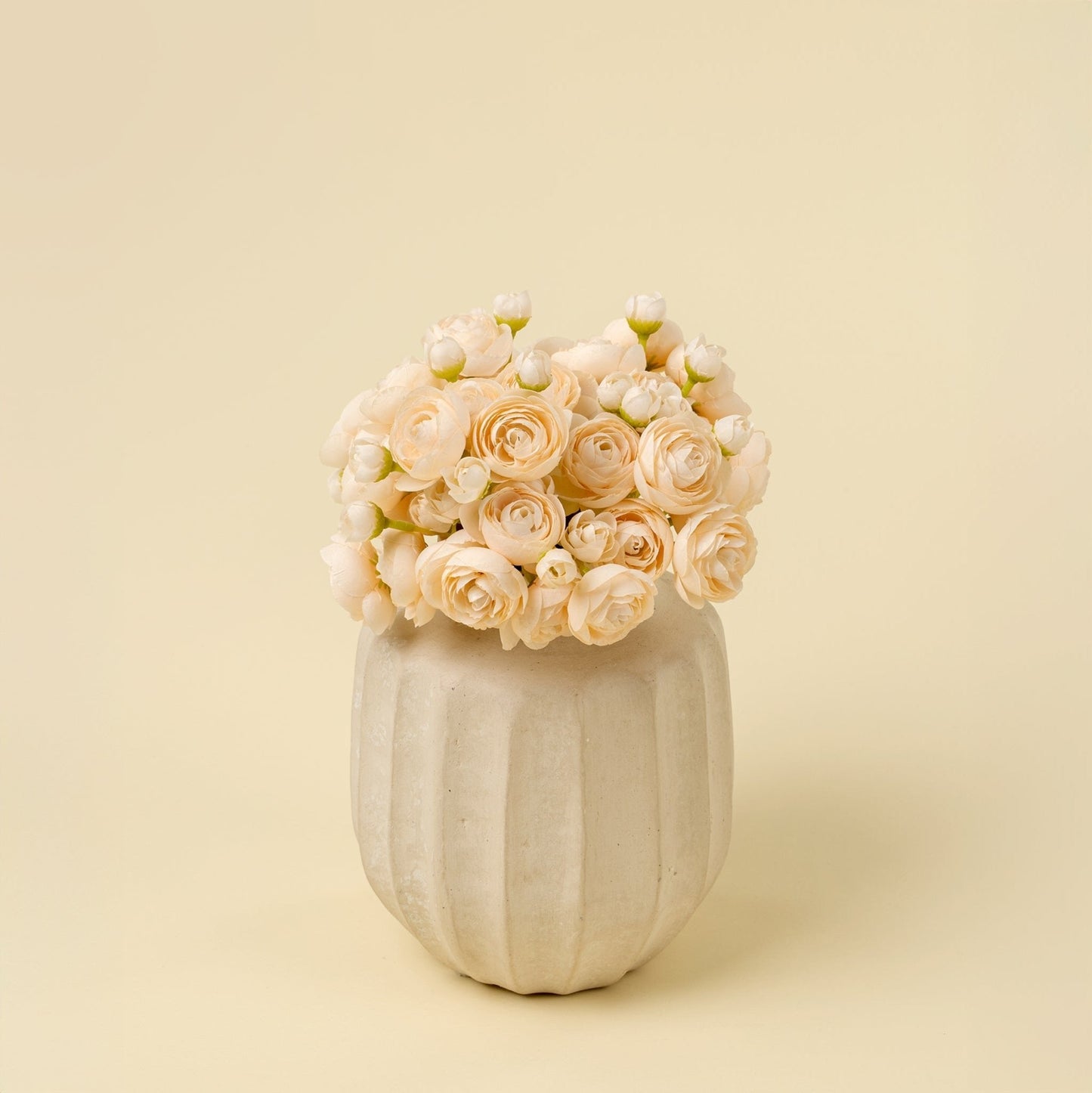 Ranunculus Bouquet – Cream