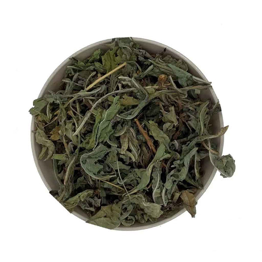 Tisane de feuilles de pissenlit