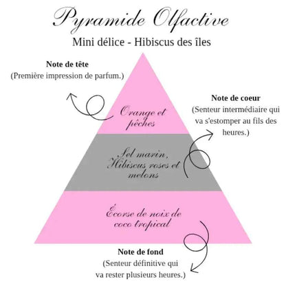 La bougie gourmande mini délice - Hibiscus des îles