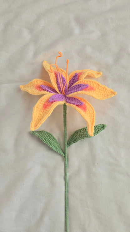 Sundrop Flower