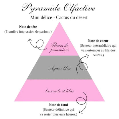 La bougie gourmande mini délice - Cactus du désert