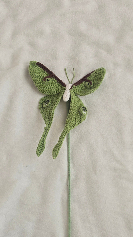 Luna Moth