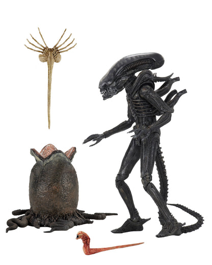 Neca - Alien - Ultimate 40th Anniversary Big Chap