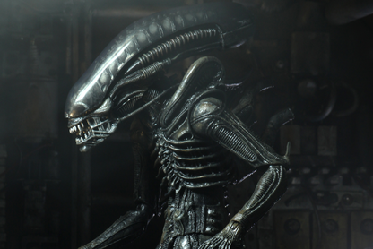 Neca - Alien - Ultimate 40th Anniversary Big Chap