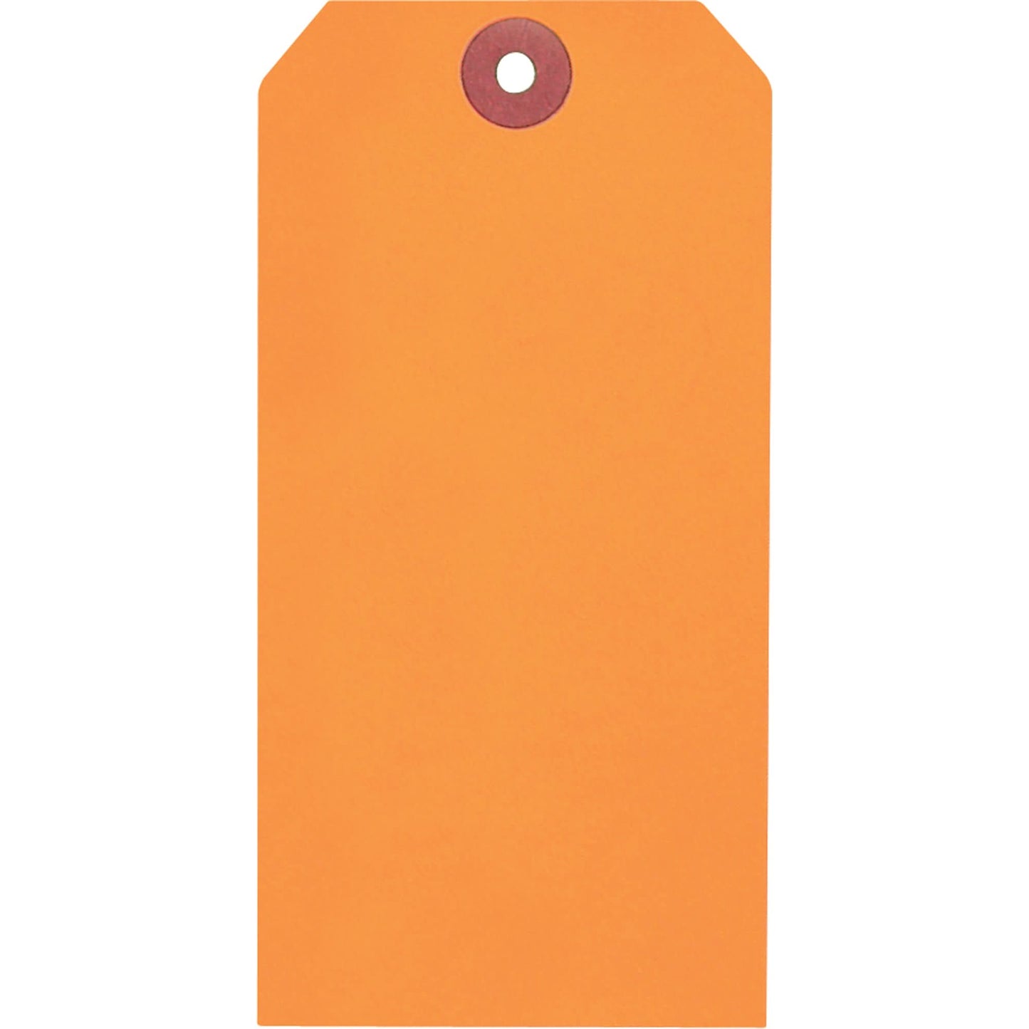 Coloured Blank Tags, Paper, 3-1/8" W x 6-1/4" H