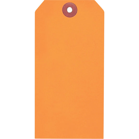 Étiquettes vierges colorées, papier, 3-1/8" La x 6-1/4" H